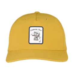 Swannies Fade Mens Golf Hat